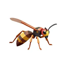 Digger wasp