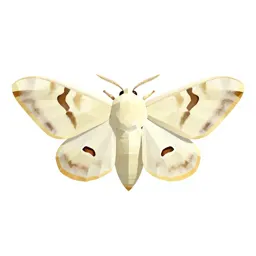 Domestic silkworm moth