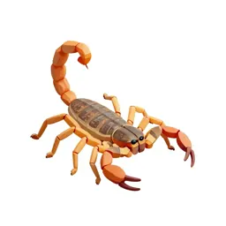False scorpion