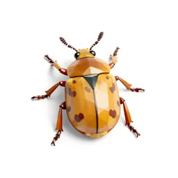 Flea beetle