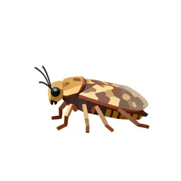 Flea