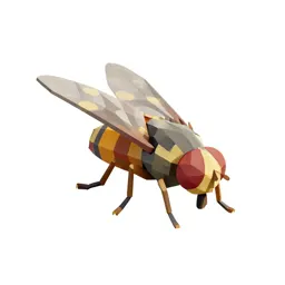 Gallfly
