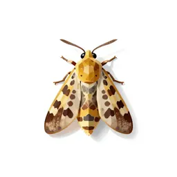 Gelechiid