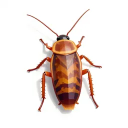 Giant cockroach