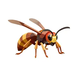 Giant hornet