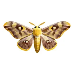 Giant silkworm moth