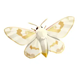 Gold-tail moth