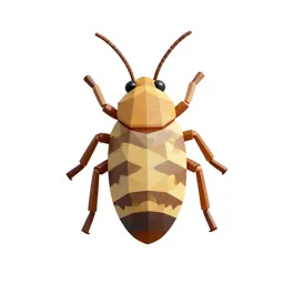 Grape louse