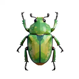 Green June beetle