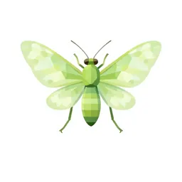 Green lacewing