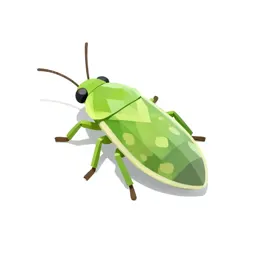 Greenfly