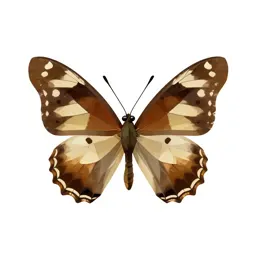 Hairstreak