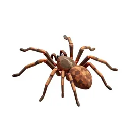 Harvestman