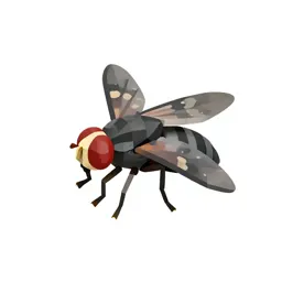 Horn fly