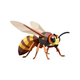Hornet