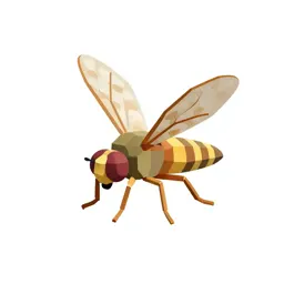 Horsefly