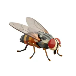 Housefly
