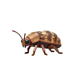 Jumping bristletail
