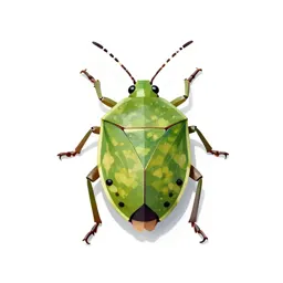 Leaf-footed bug