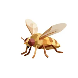 Midge