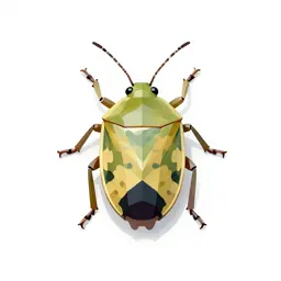 Mirid bug