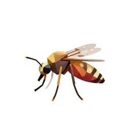 Mosquito