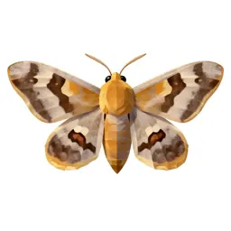 Moth