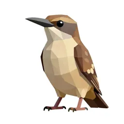 Mud dauber