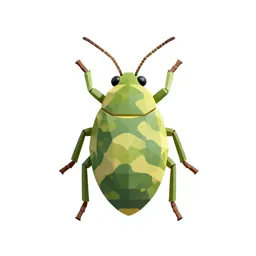 Pine leaf aphid