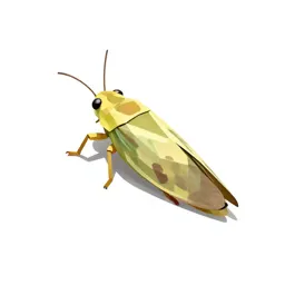 Plant hopper