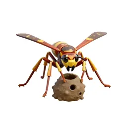 Potter wasp