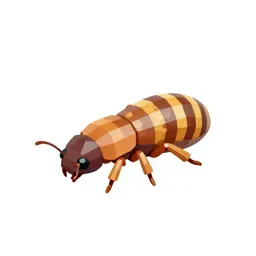 Powder-post termite