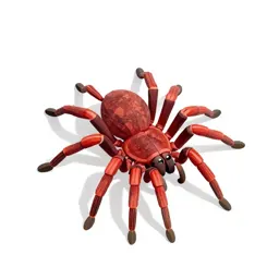 Red spider
