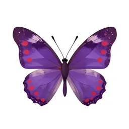 Red-spotted purple