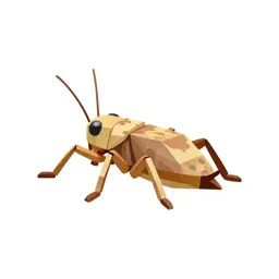 Sand cricket