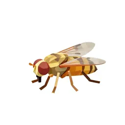 Sand fly