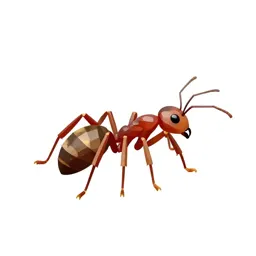 Sanguinary ant