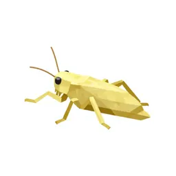 Snowy tree cricket