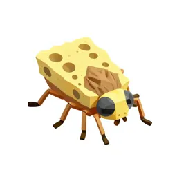 Spongefly