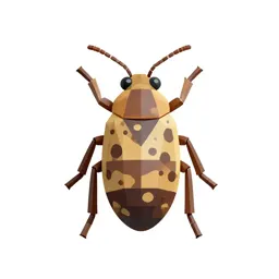 Spruce gall aphid