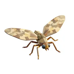 Stonefly