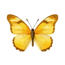Sulphur butterfly