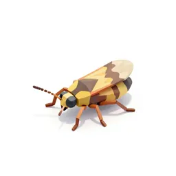 Thrips