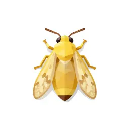 Tineid