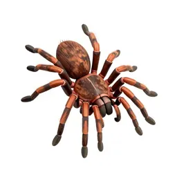Trap-door spider