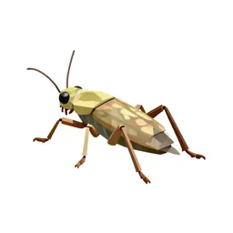 Treehopper