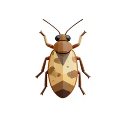 Trichopterous insect