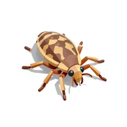 Trombidiid
