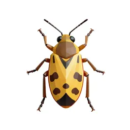 True bug