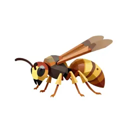 Vespid